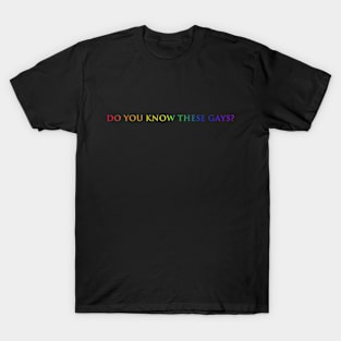 Do you know these Gays? (rainbow) T-Shirt